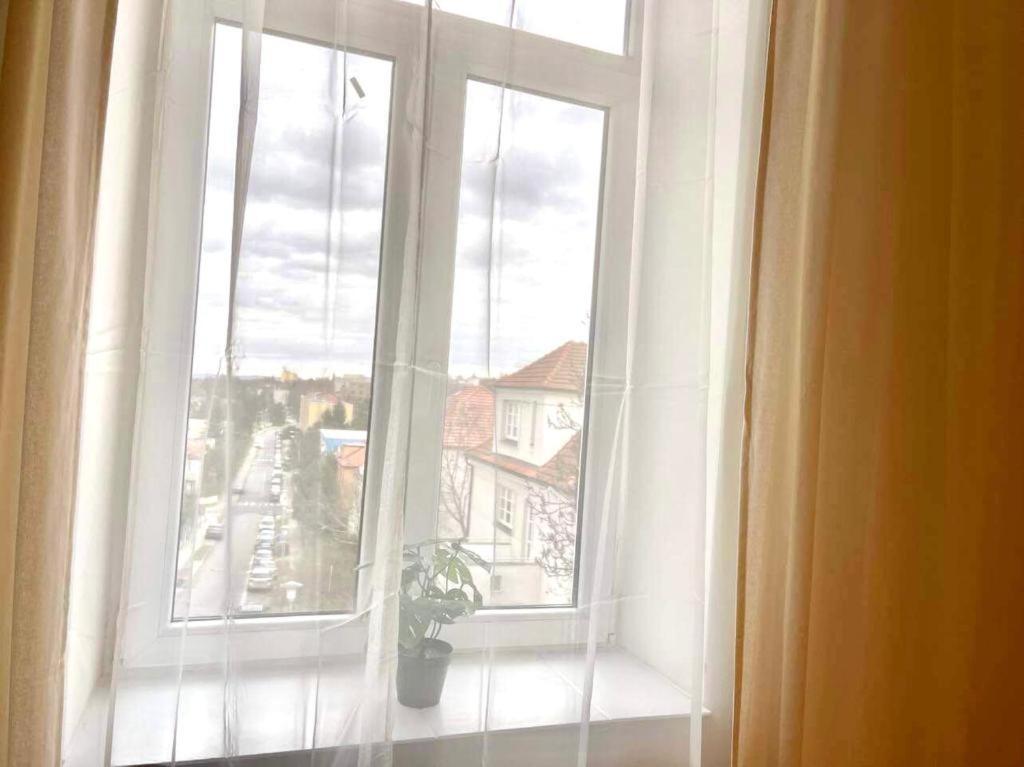 Apartman Vinohrady Brünn  Kültér fotó